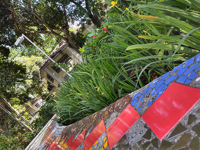 P. FEDERAL NO IPUB: EM QUE BASES NOSSO DIRETOR É INVESTIGADO?